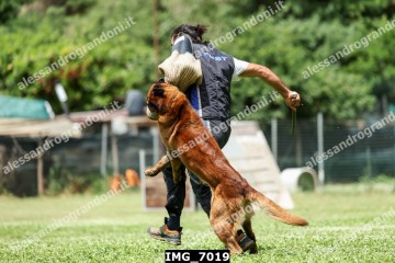 IMG_7019.jpg