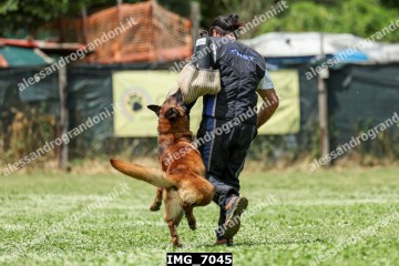 IMG_7045.jpg