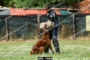 IMG_7069.jpg