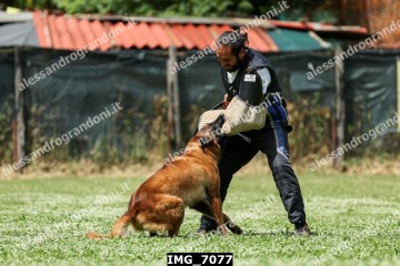 IMG_7077.jpg