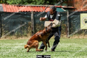IMG_7084.jpg