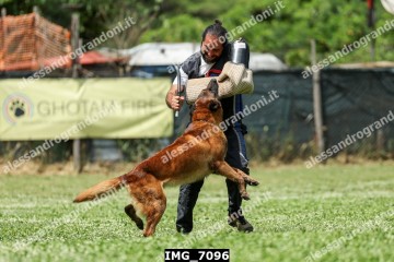 IMG_7096.jpg