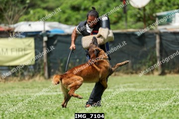 IMG_7104.jpg
