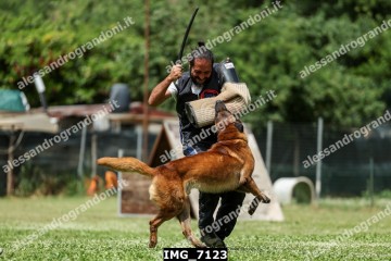 IMG_7123.jpg