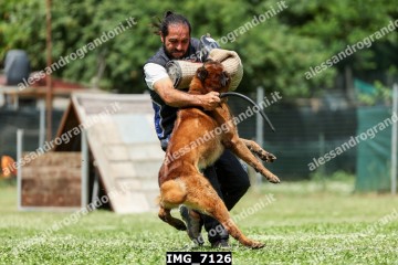 IMG_7126.jpg