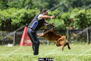 IMG_7189.jpg