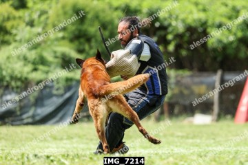 IMG_7214.jpg