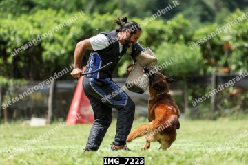 IMG_7223.jpg