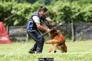 IMG_7231.jpg
