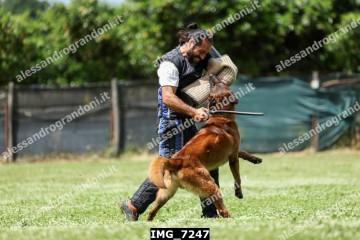 IMG_7247.jpg