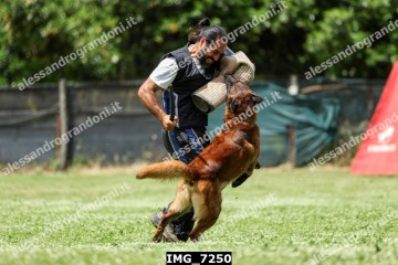 IMG_7250.jpg
