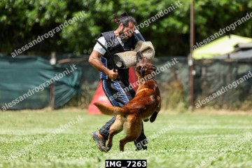 IMG_7263.jpg