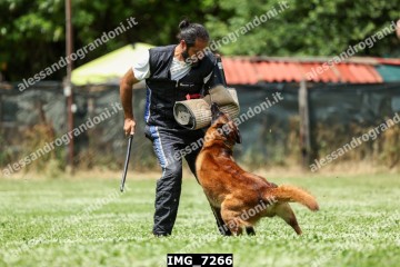 IMG_7266.jpg