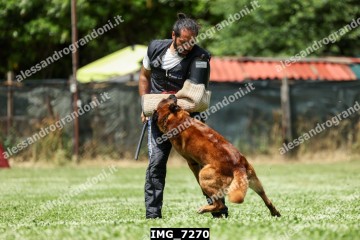 IMG_7270.jpg