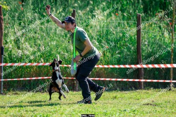 IMG_7946.jpg