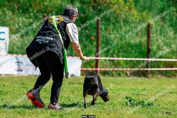 IMG_8381.jpg
