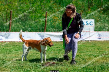 IMG_8706.jpg