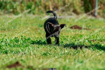 IMG_8988.jpg