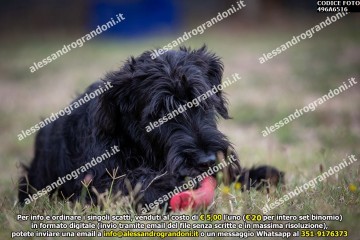 496A6516.jpg