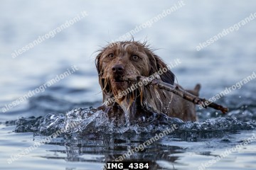 IMG_4384.jpg