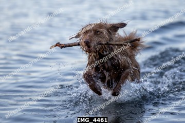 IMG_4461.jpg