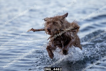 IMG_4462.jpg