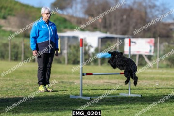 IMG_0201.jpg