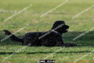 IMG_0216.jpg