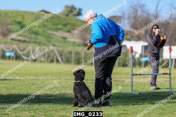 IMG_0233.jpg