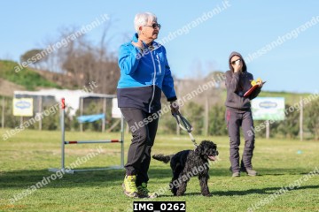 IMG_0262.jpg