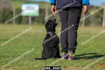 IMG_9587.jpg