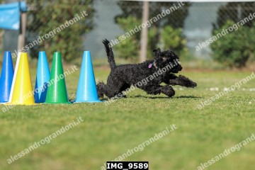 IMG_9589.jpg