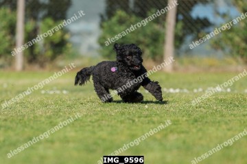 IMG_9596.jpg