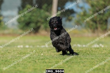 IMG_9604.jpg