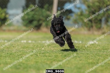 IMG_9606.jpg