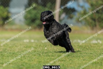 IMG_9613.jpg