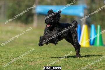 IMG_9635.jpg