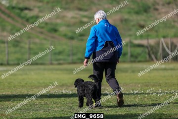 IMG_9658.jpg