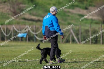 IMG_9667.jpg