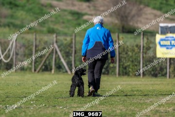 IMG_9687.jpg