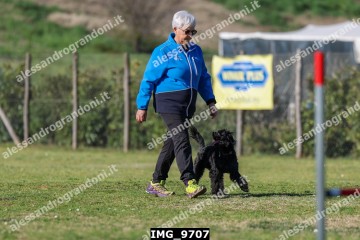 IMG_9707.jpg