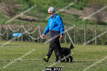 IMG_9722.jpg