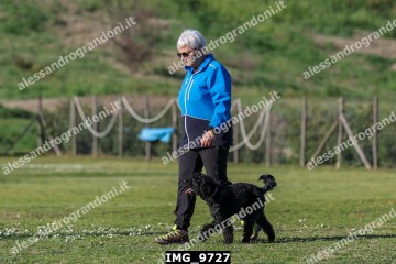 IMG_9727.jpg