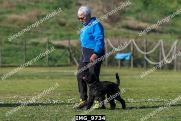 IMG_9734.jpg