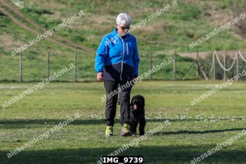 IMG_9739.jpg
