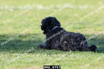 IMG_9757.jpg