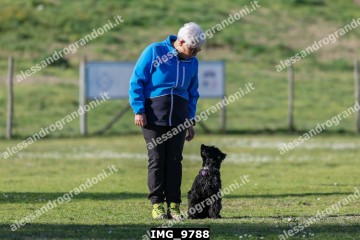 IMG_9788.jpg