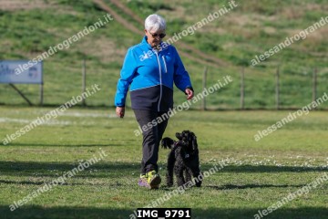 IMG_9791.jpg