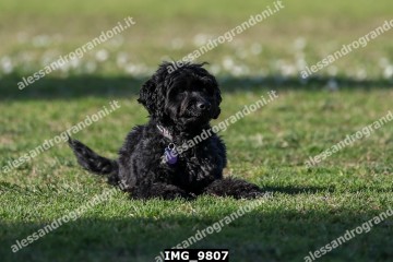 IMG_9807.jpg