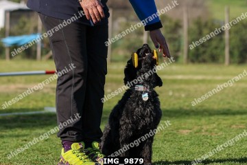 IMG_9879.jpg